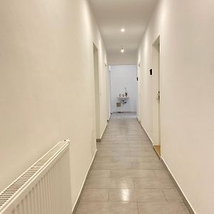 Standaard Studio
